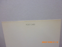 ジェ－ムス　デイーン　James Dean ポストカード　絵葉書　１９５０年代のニューヨークでの散歩姿　　珍しい写真_画像3
