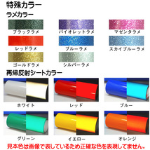 「淫紋、バイナルNo.10001」カッティングステッカー(2)　特殊カラー(ラメ、再帰反射)　スケベ、エロ_画像2
