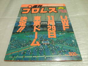 週刊プロレス 1989 8/22 NO.333