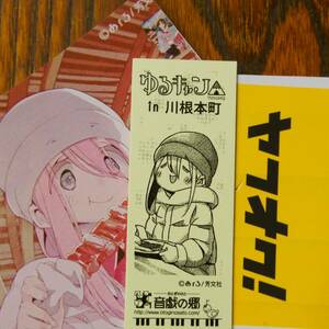 ゆるキャン 【きっぷ】new なでしこ 限定300枚 ＆ 大井川鐡道”ありがとう”きっぷ付