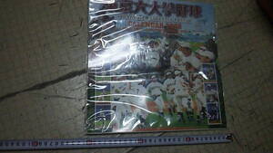 2008年カレンダー　東京六大学野球　色褪せ　長期保管品　未使用品　斎藤佑樹