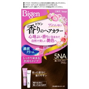 ビゲン 香りのヘアカラー クリーム 5NA 深いナチュラリーブラウン × 27点