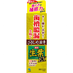 生葉 薬用歯磨き EX 100g×48本