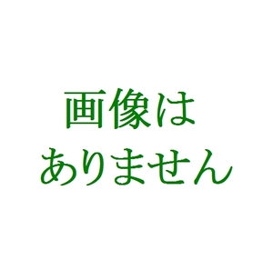 手渡しも可 JRグループ カレンダー バックナンバー 保管品 どれか１点 2003 ～ 2018 2点以上も対応します 鉄道 マニア コレクション 出340