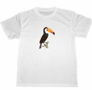 オオハシ　ドライ　Tシャツ　野鳥　大橋　グッズ