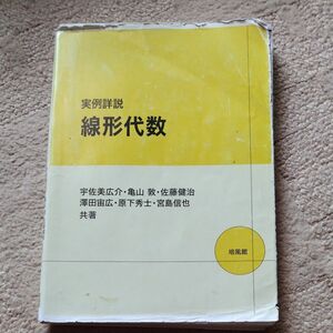 実例詳説線形代数 宇佐美広介／共著　亀山敦／共著　佐藤健治／共著　澤田宙広／共著　原下秀士／共著　宮島信也／共著