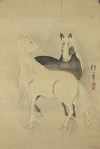 【江戸動物画】掛軸「酒井抱一 柳下双馬図」絵画 絵師 俳人 江戸琳派創始者 江戸後期_画像4