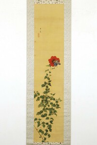 【真作 金裏箔】掛軸「石崎光瑶 扶桑花風蝶」共箱 二重箱 大正10年38歳 日本画家 山本光一・竹内栖鳳門下 動物画 絵画