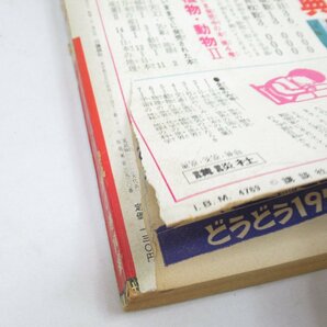 ★【直接引取不可】 白戸三平 ワタリ 3巻 死のおきての巻 6巻 ワタリ一族の巻前編 少年マガジン コミックス 2冊 昭和42年 7月 11月 講談社の画像4