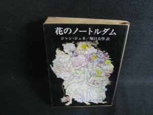 花のノートルダム　ジャン・ジュネ　シミ大・日焼け強/ODJ