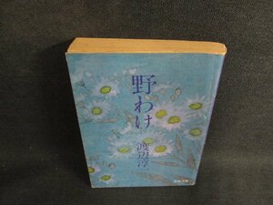 野わけ　渡部昇一　シミ大・日焼け強/ODI