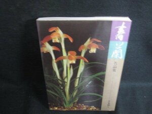  spring orchid name goods compilation flat see peace . sunburn have /ODM