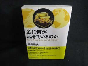 金に何が起きているのか　豊島逸夫　シミ日焼け有/ODQ