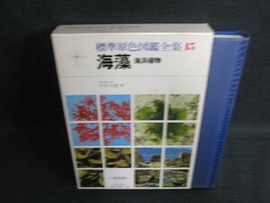 標準原色図鑑全集15　海藻 海浜植物　シミ大・日焼け強/OEZF