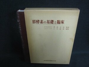 膵酵素の基礎と臨床　シミ大・日焼け強/OEZK