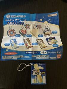 雪印北海道100さけるチーズプレーン　雪印メグミルク ミニチュアチャーム～乳製品シリーズ～