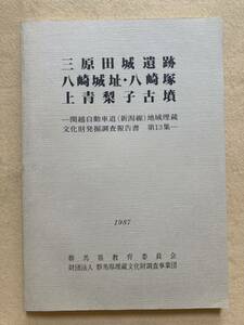 C3☆三原田城遺跡 八崎城址・八崎塚 神青梨子古墳 関越自動車道(新潟線)地域埋蔵文化財発掘調査報告書 第13集 1987年☆