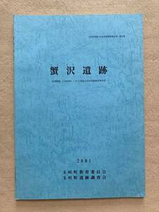 C8☆蟹沢遺跡 玉村町埋蔵文化財発掘調査報告書 第45集 2001年 玉村町教育委員会 玉村町遺跡調査会☆