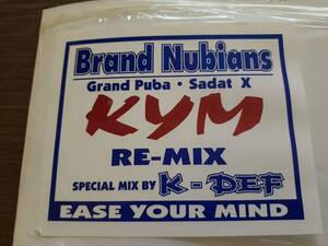 L4950◆12 / Kym Rae Feat. Grand Puba & Sadat X / Ease Your Mind RE-MIX