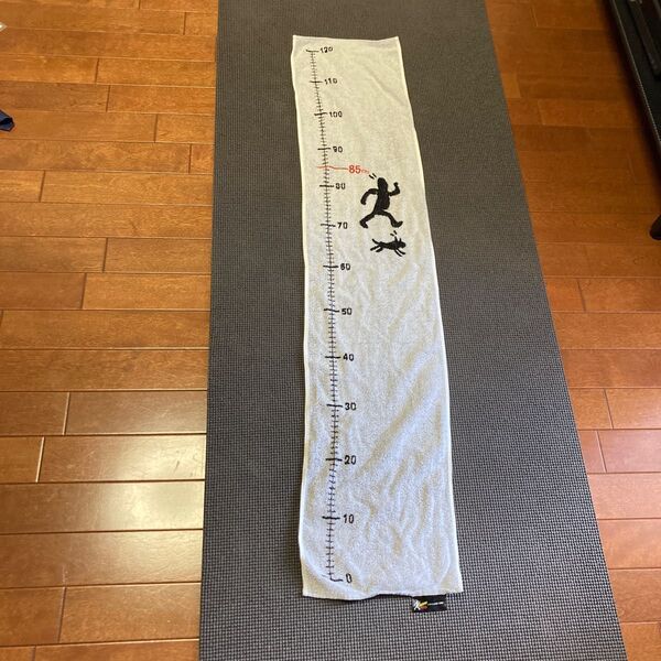 タオル メタボなお腹に注意報! 頑張る親父のスポーツタオル 西川リビング
