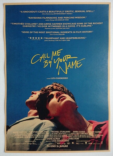 Call Me By Your Name 君の名前で僕を呼んで ポスター ①