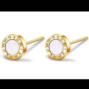 Free bird ピアス 男女兼用 金属アレルギー対応 ゴールド キャッチ シルバー925