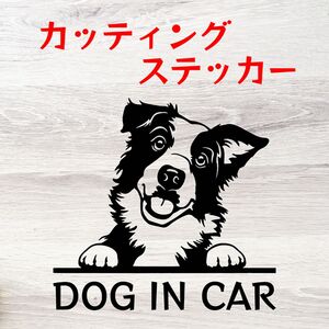 カッティングステッカー DOG IN CAR ボーダーコリー 2