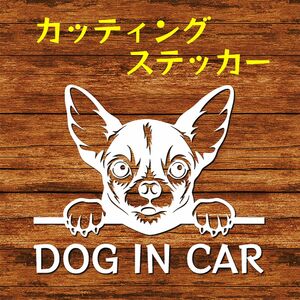 カッティングステッカー DOG IN CAR スムースコート チワワ 白