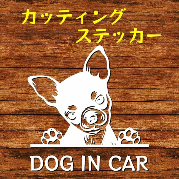 カッティングステッカー DOG IN CAR スムースコート チワワ 2 白