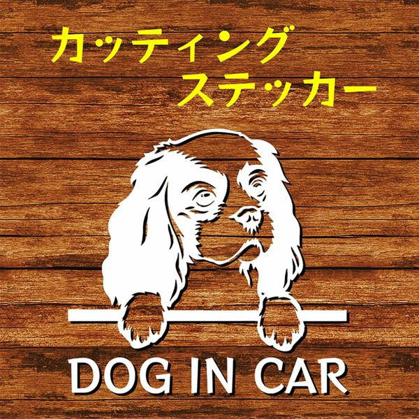 カッティングステッカー DOG IN CAR キャバリア 白