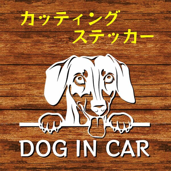 カッティングステッカー DOG IN CAR ダックスフンド 白