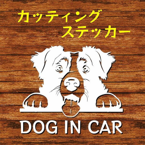 カッティングステッカー DOG IN CAR ボーダーコリー 白