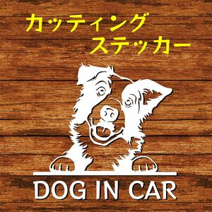 カッティングステッカー DOG IN CAR ボーダーコリー 2 白