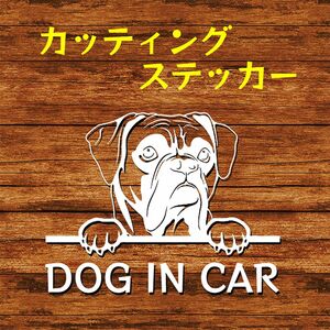 カッティングステッカー DOG IN CAR ボクサー 白