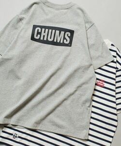 CHUMS×FREAK'S STORE/チャムス 別注 ブービー バックプリント クルーネックTシャツ　L灰