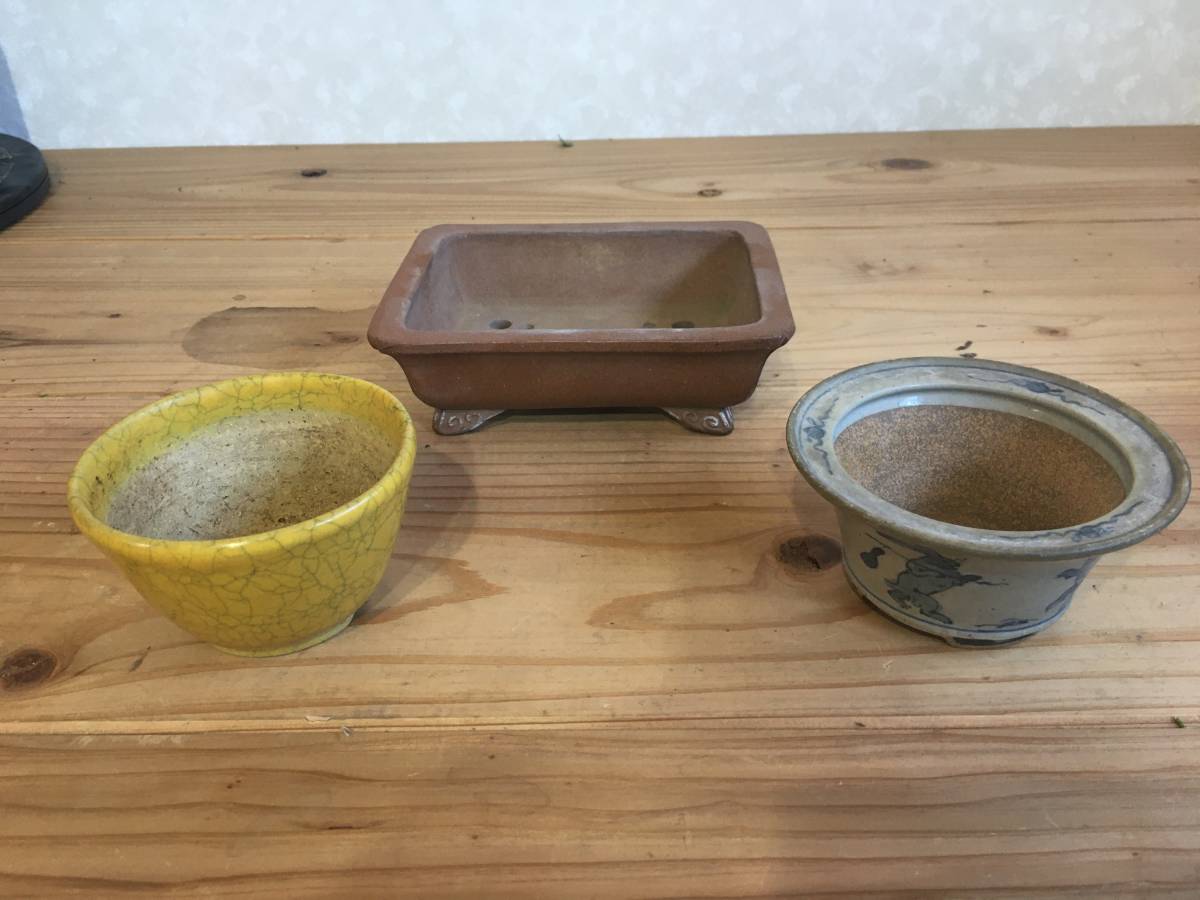 ヤフオク! -「九谷」(鉢) (盆栽用具)の落札相場・落札価格