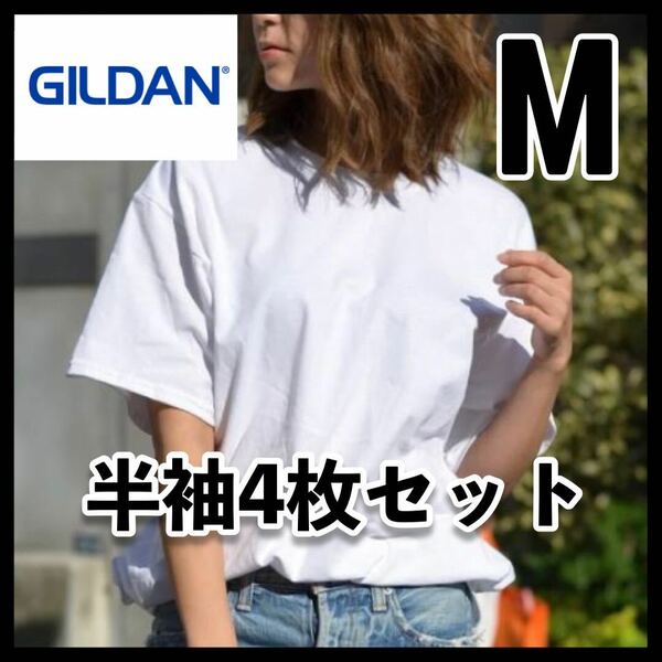 【新品未使用 】ギルダン 6oz ウルトラコットン 無地半袖Tシャツ ユニセックス 白4枚セット M