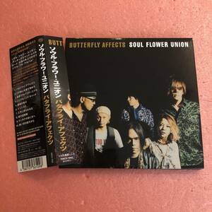 CD 紙ジャケット 帯付 ソウル フラワー ユニオン バタフライ アフェクツ Soul Flower Union Butterfly Affects Newest Model