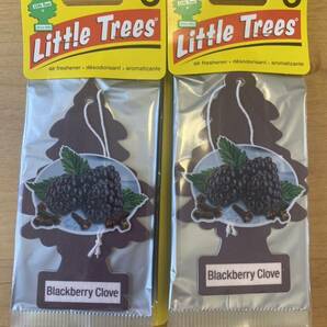 リトルツリー ブラックベリーグローブ 12枚 Little Treesの画像1