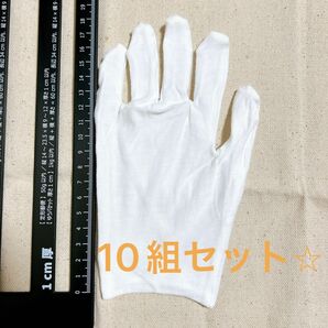 【10組セット】綿手袋