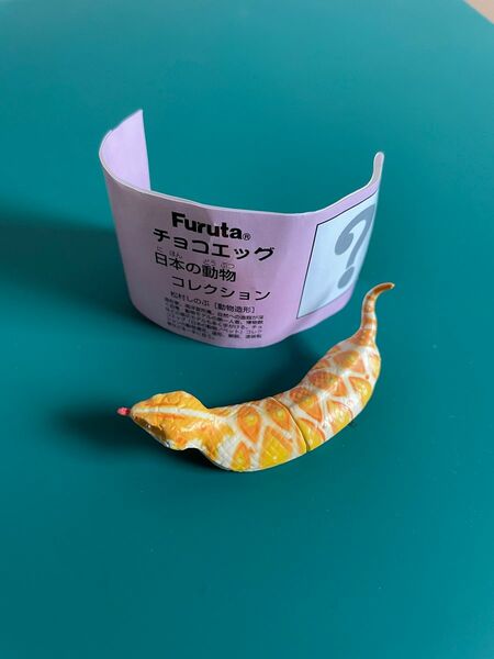 チョコエッグ 日本の動物コレクション シークレット ツチノコ 