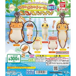 はちゅはちゅチャーム BEST！ ニシアフリカトカゲモドキ(ストライプ) 新品未開封