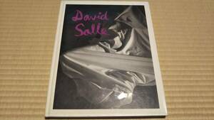 David Salle　Photographs 1980 to 1990　デイヴィッド サーレ 写真集