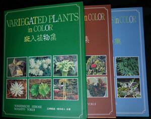 ★☆ 斑入植物集全3巻　VARIEGATED PLANTS in COLOR　広瀬嘉道・横井政人 共著　ヴァリエ ナイン社