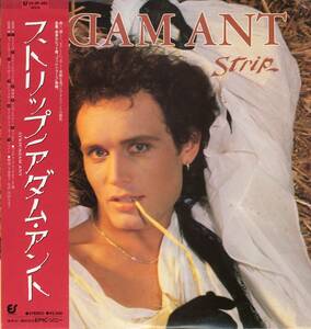 LP アダム・アント / ストリップ ADAM ANT / STRIP【Y-364】