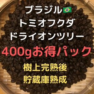 自家焙煎 ブラジル トミオフクダ　ドライオンツリー400g(豆又は粉)匿名配送