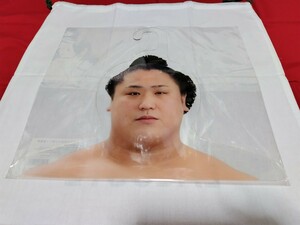 大相撲　力士アクリルハンガー　若隆景関