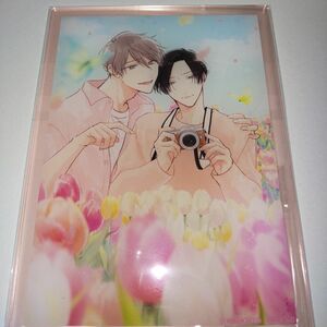 新品　未開封　鬼上司、極寺さんは暴かれたい。　あらた六花　BL　非売品　描き下ろし　アニメイトアクリルパネル