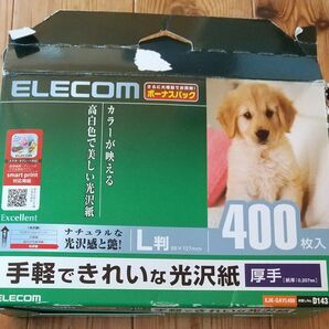 フォトペーパー L版 厚手 ３００枚 全6種 アンチノール にゃんこ