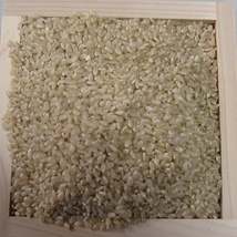 鳥取県令和5年産　収穫したて新米ひとめぼれ玄米30ｋｇ　　送料・精米無料　_画像1